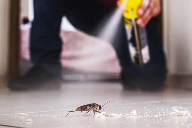 Best Pest Removal Services  in Bellaire, OH