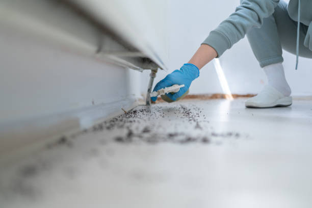 Best Commercial Pest Control Services  in Bellaire, OH